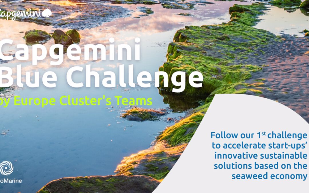 Notre participation au « Capgemini Blue Challenge » : un défi au service de l’innovation et des projets liés à l’algue
